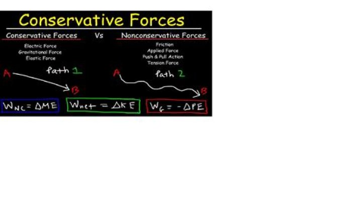 A Conservative Force Shaping Youth And Politics