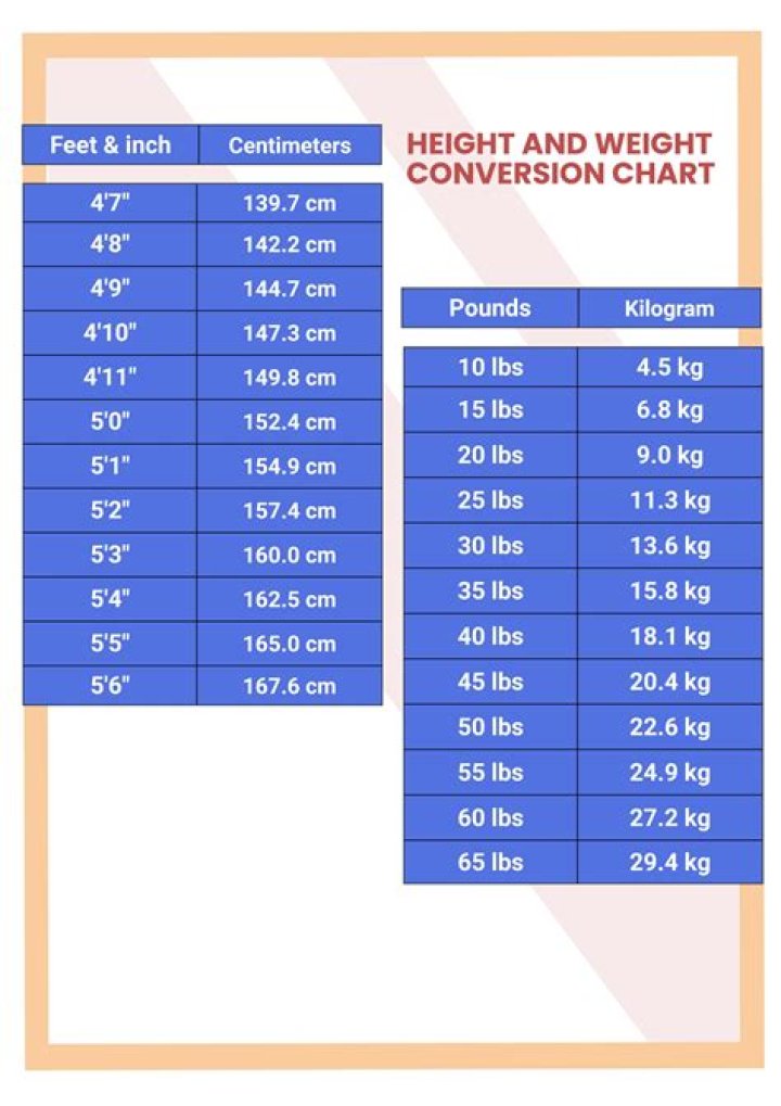 A Guide To Height And Weight