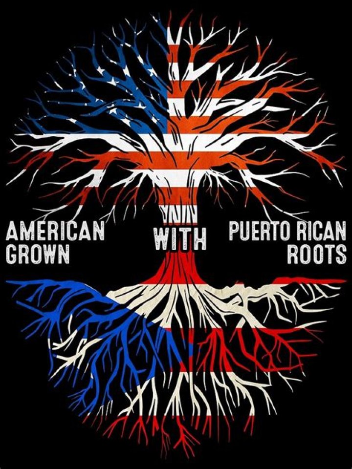 A Journey Into Dominican And Puerto Rican Roots