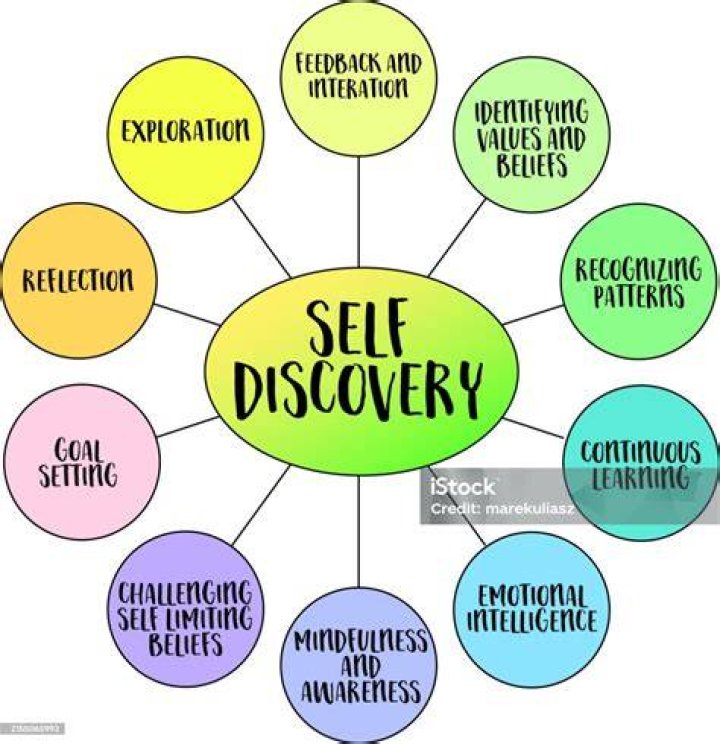 A Journey Of Discovery And Artistic Brilliance