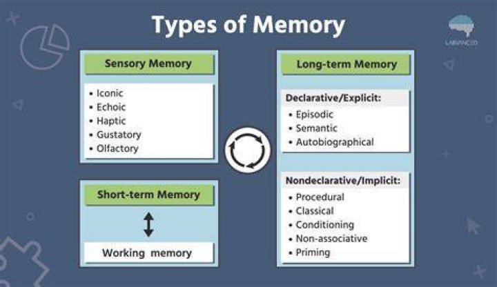 A Journey Of Memory And Identity