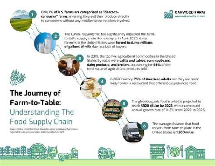 A Journey To Grocery Delivery Excellence
