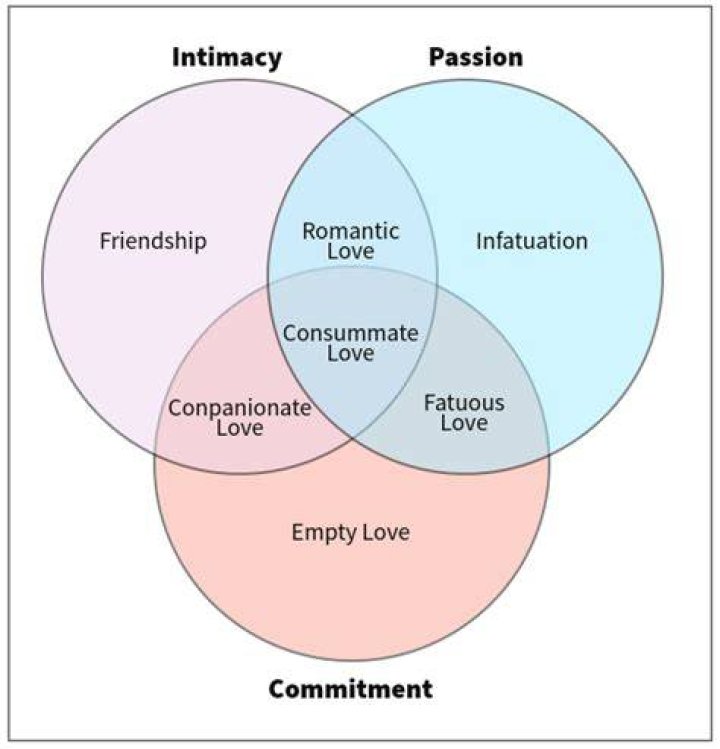 A Love Built On Passion And Commitment