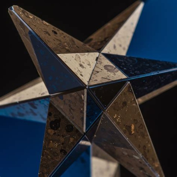A Rising Star With Multifaceted Talent