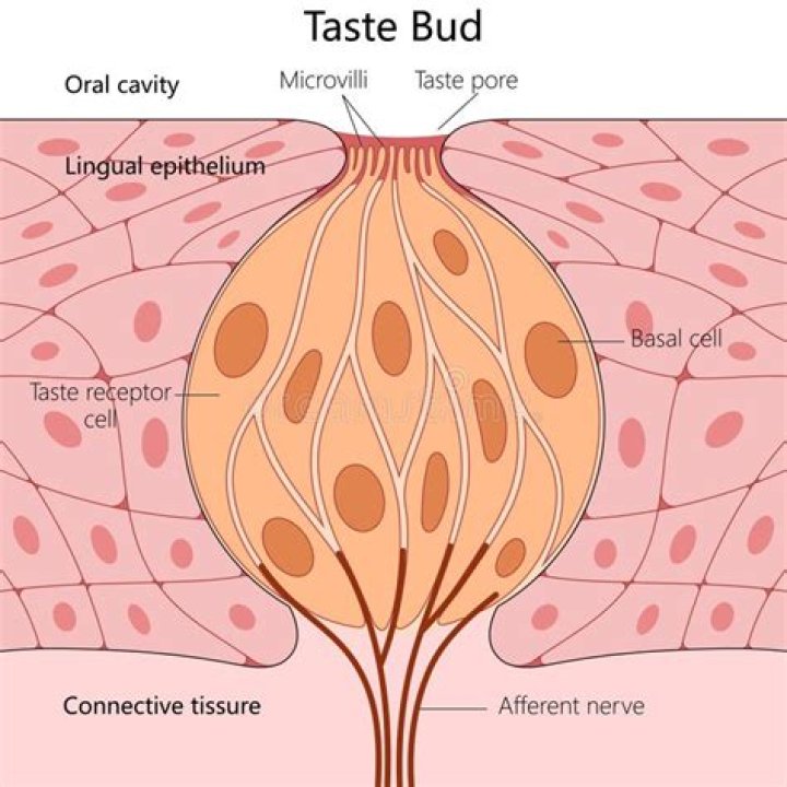 A Viral Treat For Your Taste Buds!