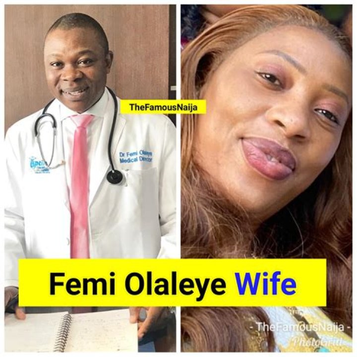 About Femi Gbajabiamila Biography, Wife, State Of Origin