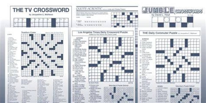 Affirm to be true Daily Commuter Crossword Puzzle Answers