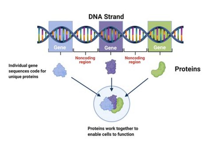 Age, Identity, And The Power Of DNA