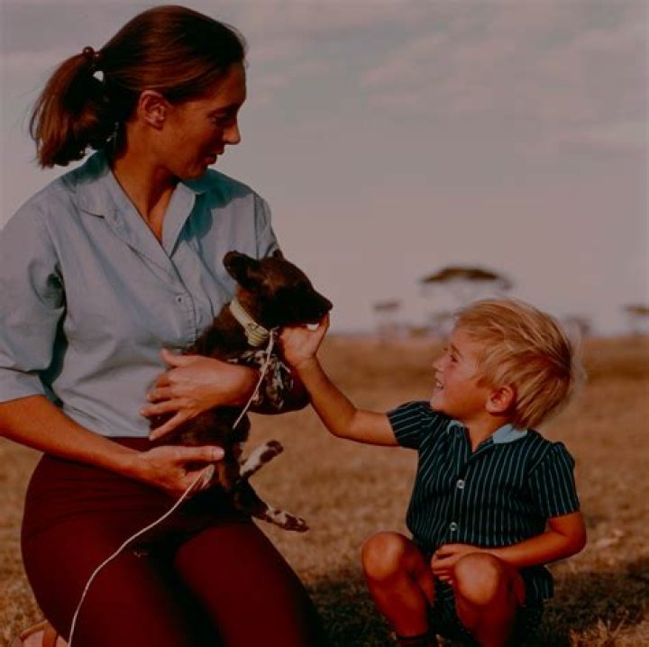 Angel van Lawick: Carrying Forward a Remarkable Conservation Legacy