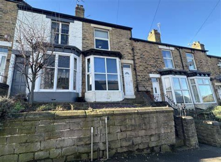 Apex pest control, 54 Baxter Drive, Sheffield, S6 1GH, South Yorkshire, UK -