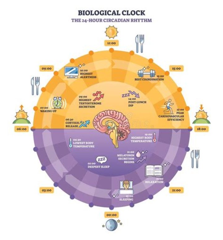 Beyond the Biological Clock: Can a 52-Year-Old Man Still Father a Child?