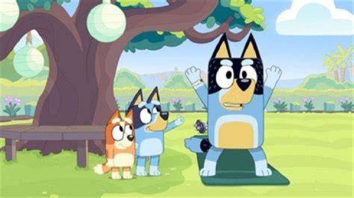 Bluey, Autism, And Health Updates