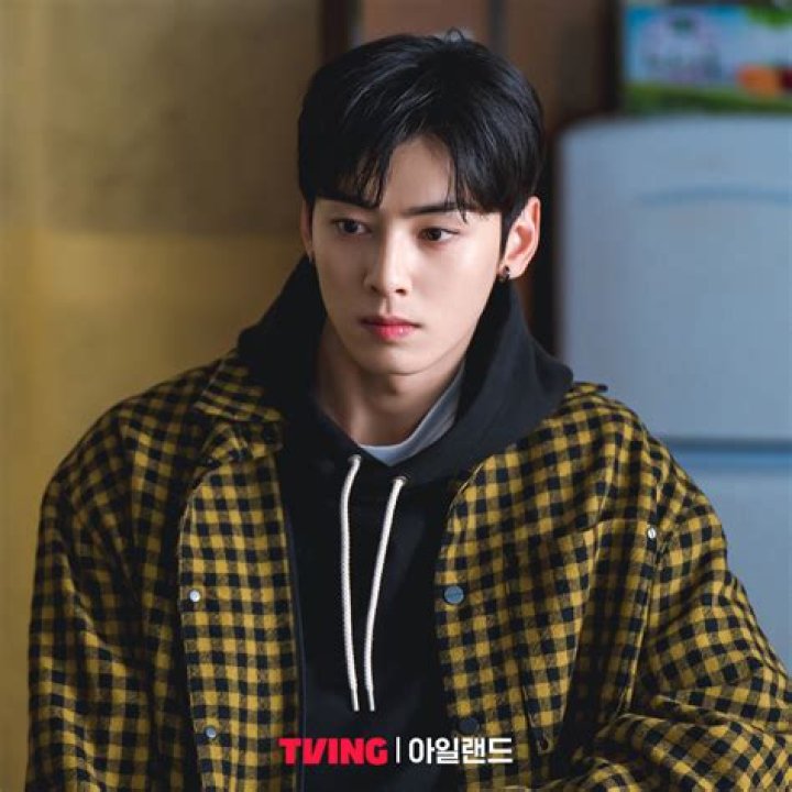 Cha Eun Woo Partner: Discovering the Ideal Match for the Rising Star