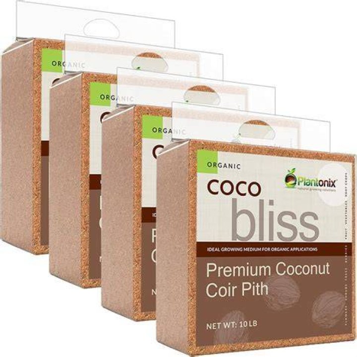 Coco Bliss OnlyFans Leak Uncovered
