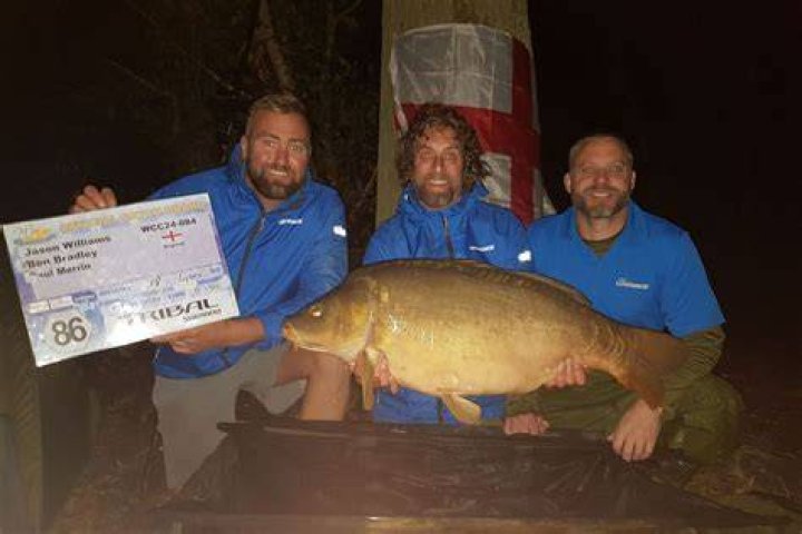 Colombian Spinal Thresher Carp Attacks: Discoveries And Insights Revealed