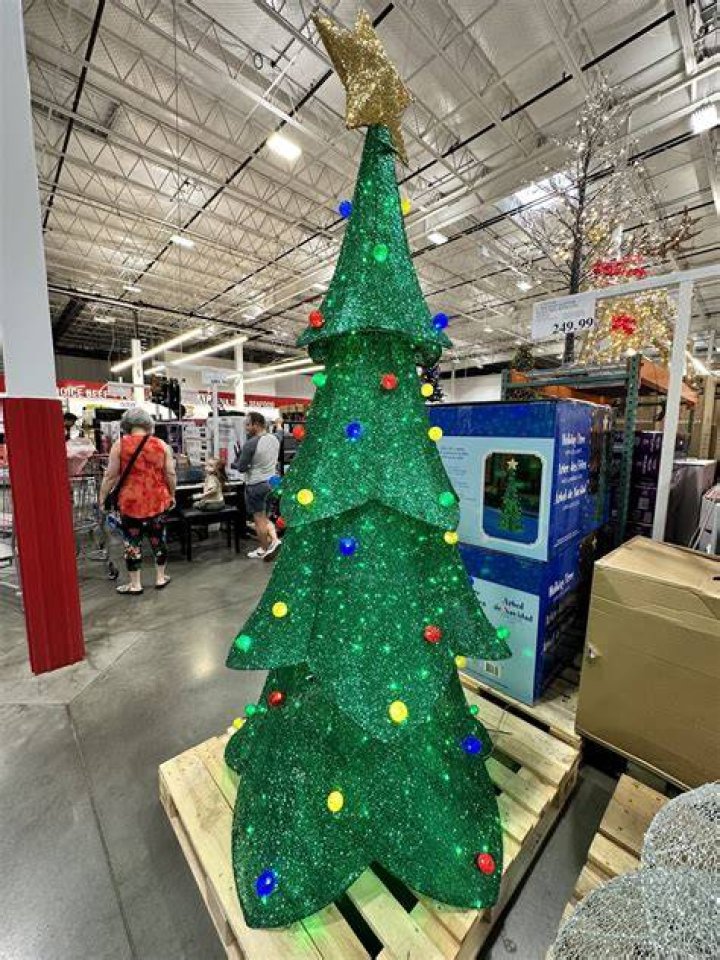 Costco Christmas Tree Prices Unveiled!