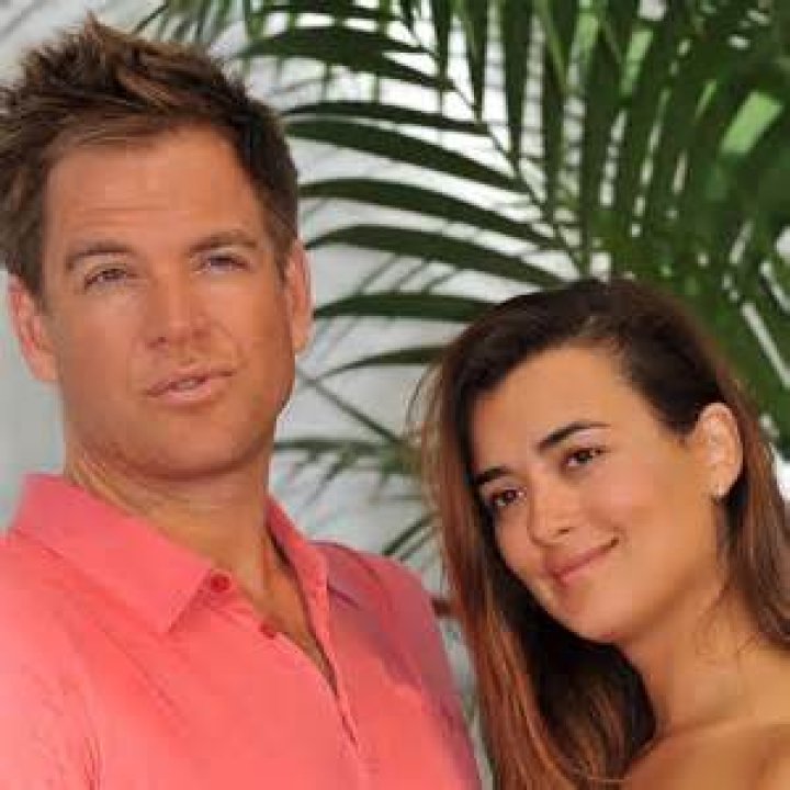 Cote de Pablo Husband: Unraveling the Mystery of Her Private Life