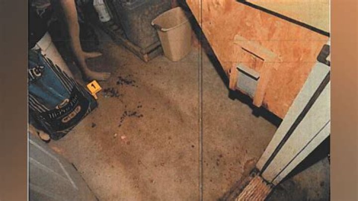 Crime Scene Photos of the Murder of Clauddine Dee Dee Blanchard: A Deep Dive into a Shocking Case
