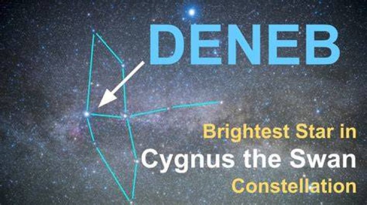 Cygnus brightest star Crossword Clue Codycross