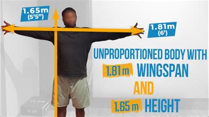 Desmond Bane's Wingspan in Feet Revealed