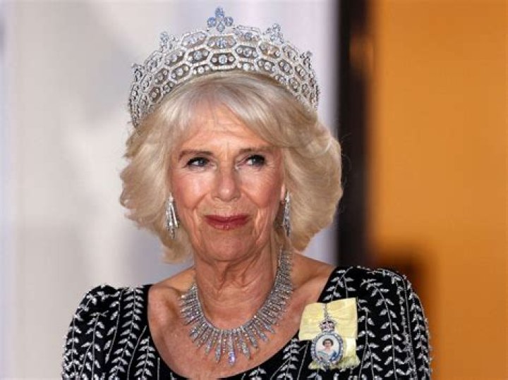 Did Camilla Araujo Go to the Met Gala? Unpacking the Buzz