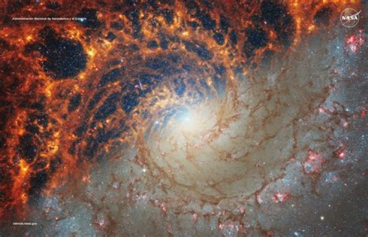 Did NASA See Something Come Out of a Black Hole? Exploring Cosmic Ejections