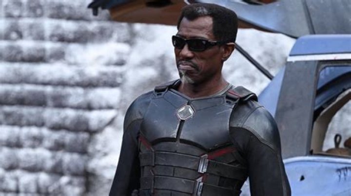 Did Wesley Snipes Assault Halle Berry?