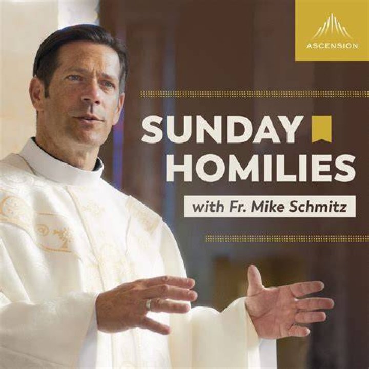 Discover Profound Insights From Fr. Mike Schmitz's Books