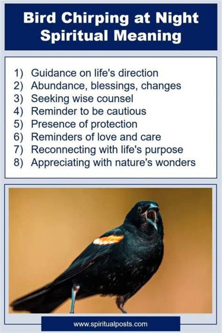 Discover The Spiritual Meaning Of Birds Chirping At Night