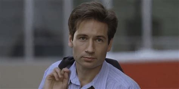 Discoveries About David Duchovny's Son