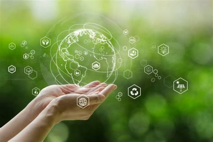 Discoveries And Insights For A Sustainable Tomorrow