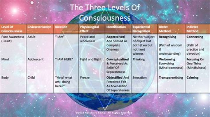 Discoveries And Insights For Body, Nature, And Consciousness