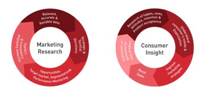 Discoveries And Insights For Communication