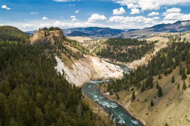 Discoveries In "The Yellowstone Odyssey"