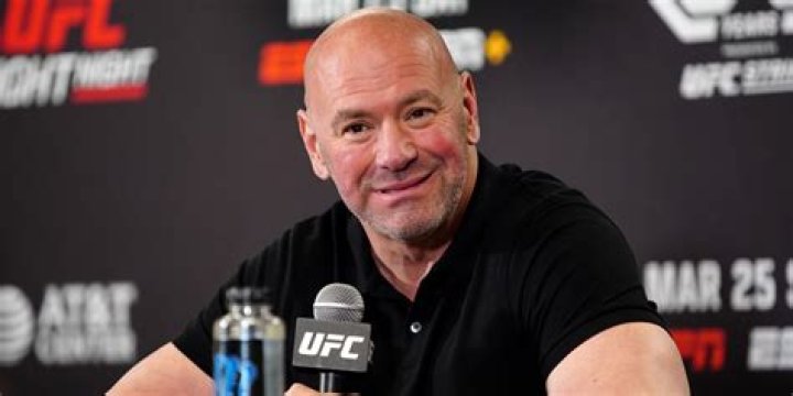 Discoveries In UFC Net Worth 2024