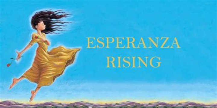 Discovering Ali C Lopez: A Fresh Look at a Rising Digital Voice