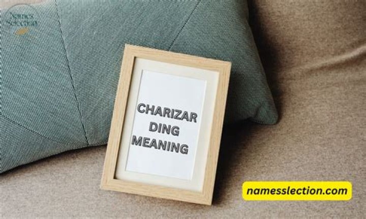 Discovering the Charizarding Meaning: What This Fiery Slang Really Means