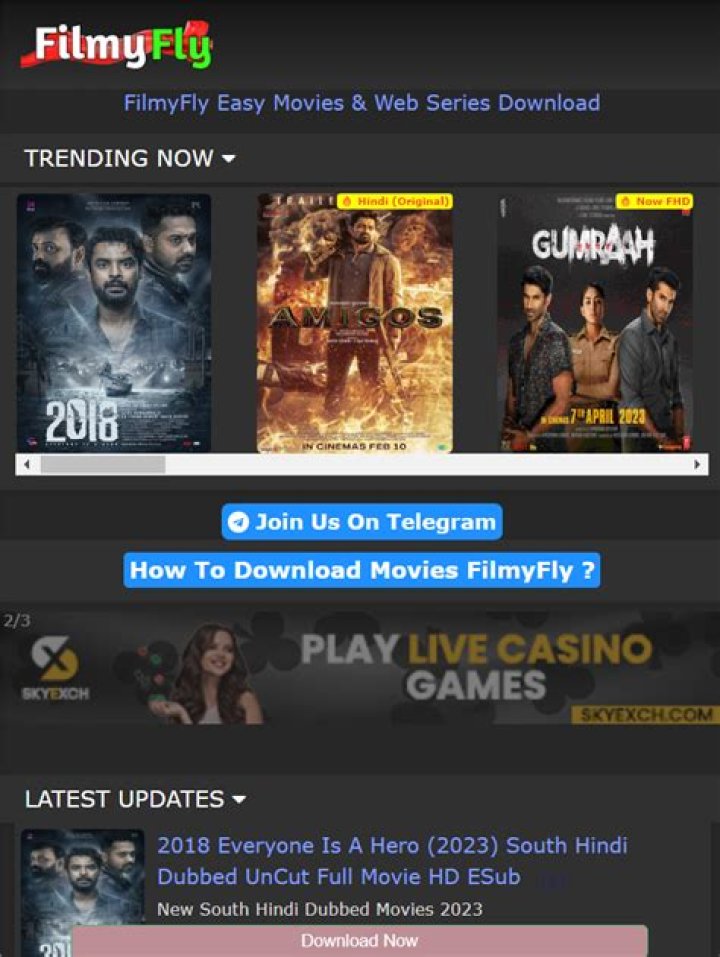 Discovering www.filmyfly.pictures: Your Portal to Visual Stories