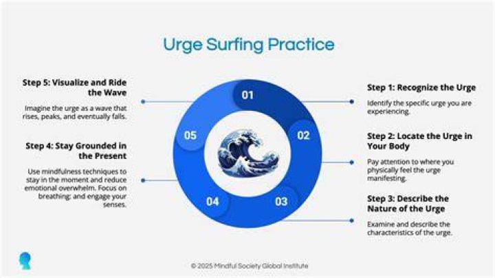 Dive into the Meaning of Urge Delivery in SHEIN