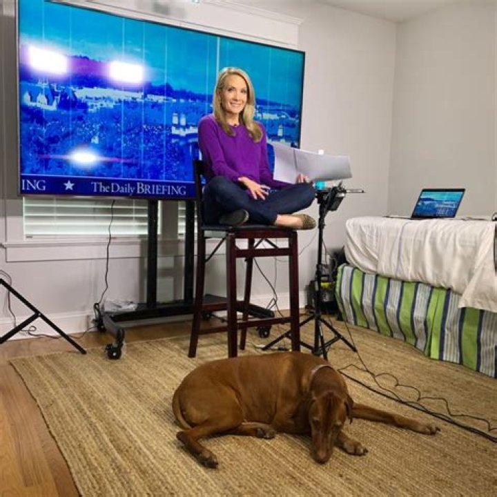 Does Dana Perino Live in Bay Head, NJ? Unpacking the Question