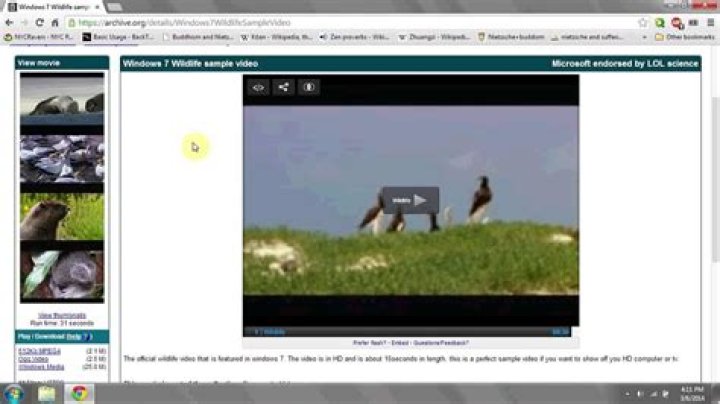 Downloadhub.contact: Your Simple Way to Save Videos from the Web