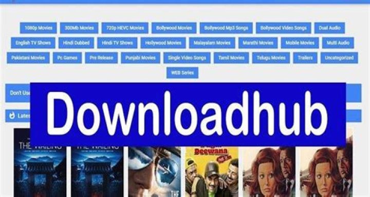 Downloadhub: The Ultimate Resource for 300MB Movies