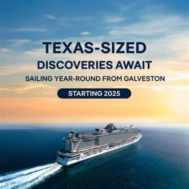 Exclusive Insights And Discoveries Await