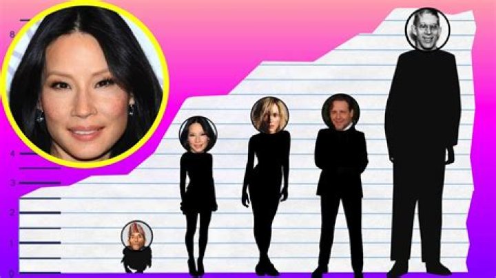 Exploring Lucy Liu Height Weight Age Boyfriend Family Facts