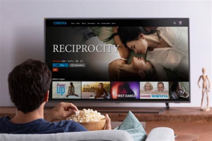 Exploring Moviesflix About Us: Your Gateway to Entertainment