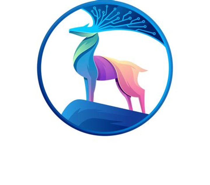 Exploring Qarxis Rayan Bajaj Telegram: What's Happening in 2024