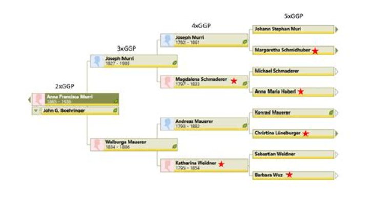 Exploring The Intricacies Of The Lewandowski Family Tree