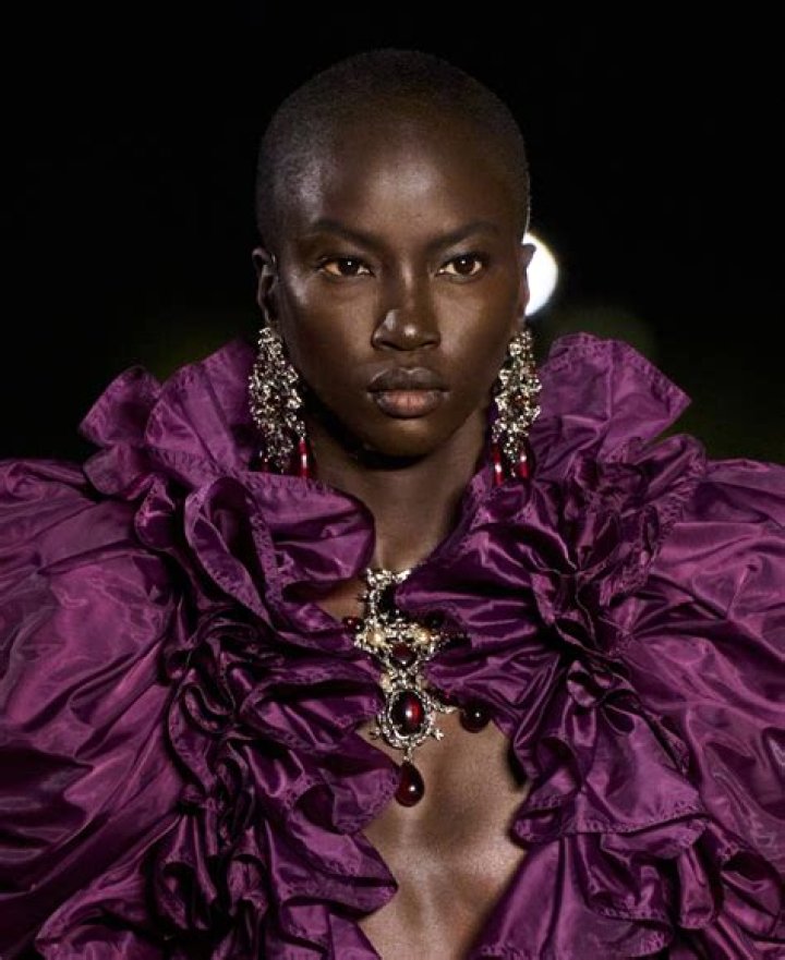 Exploring The Sudanese Model's Journey