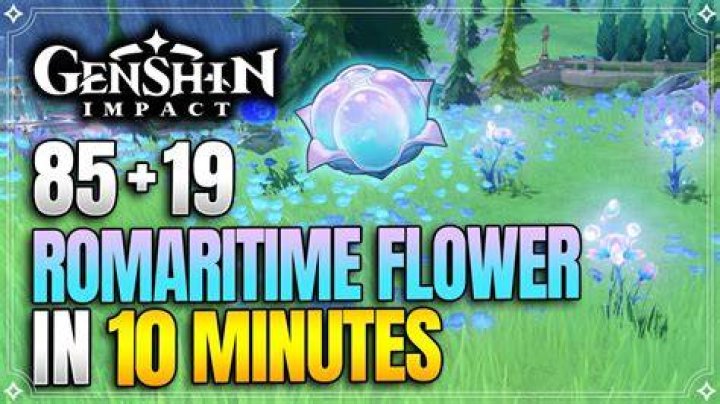 Genshin Impact Romaritime Flower Locations in Fontaine, How to Get Romaritime Flower?