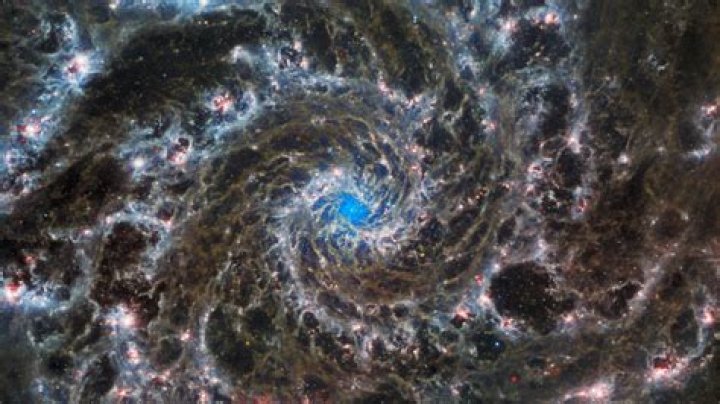 Has James Webb Detected Life? Unpacking the Latest Space Discoveries